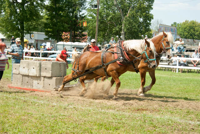 Cumberland Township Agricultural Society