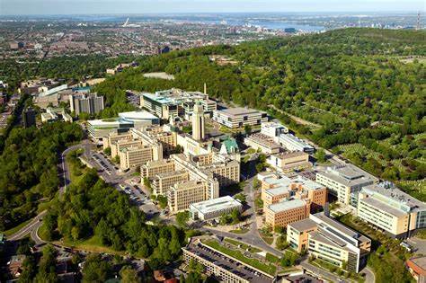 University of Montreal