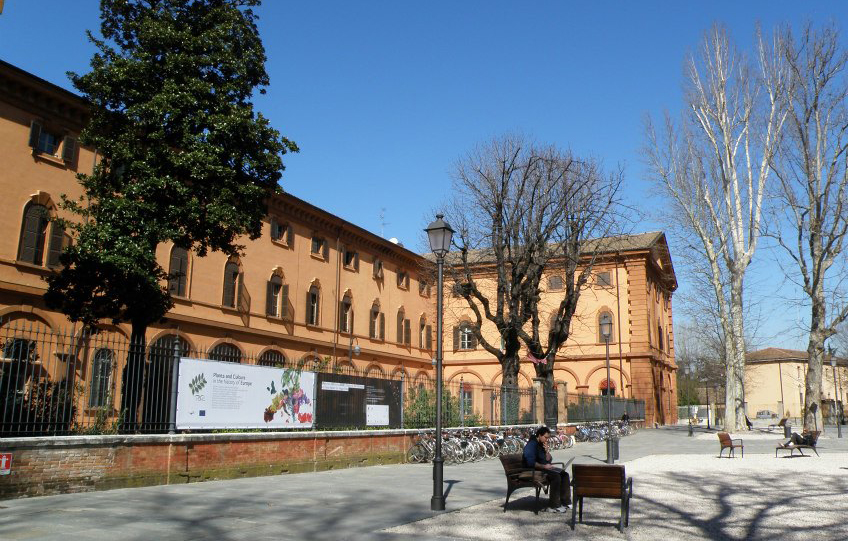 University of Modena and Reggio Emilia