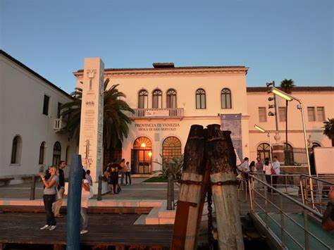 Venice International University