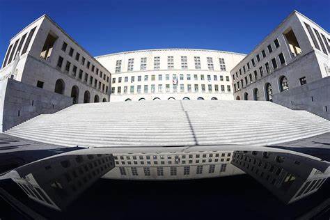 Library of Psychology, University of Trieste