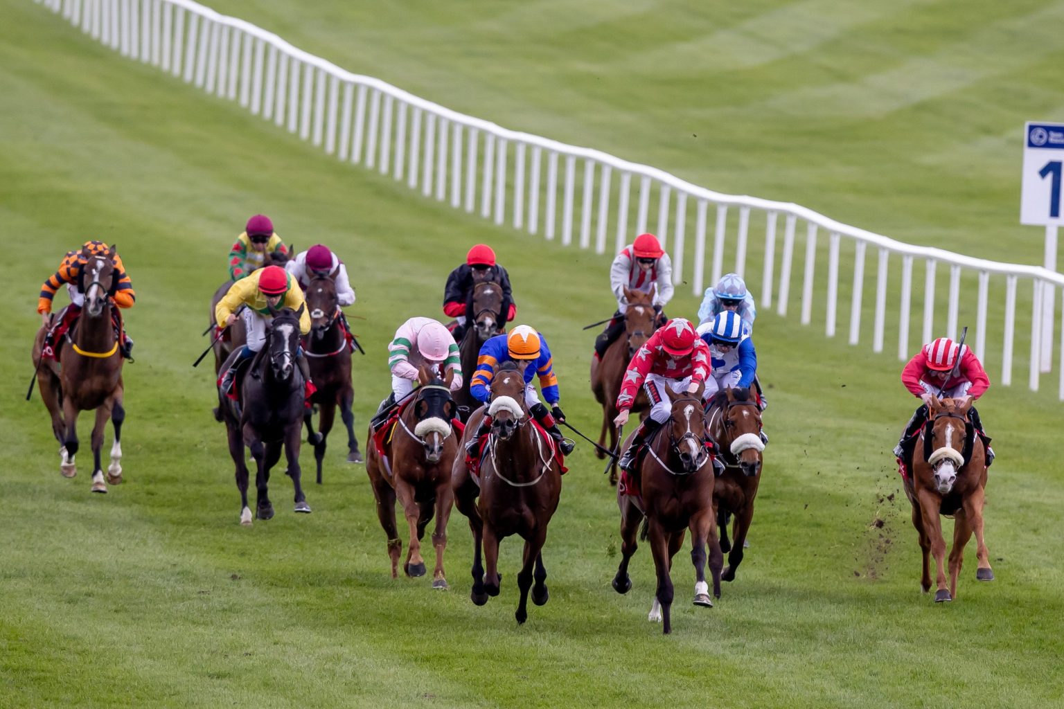 Punchestown Racecourse