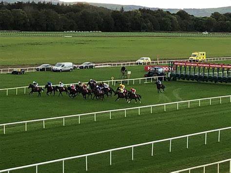 Cork Racecourse Mallow