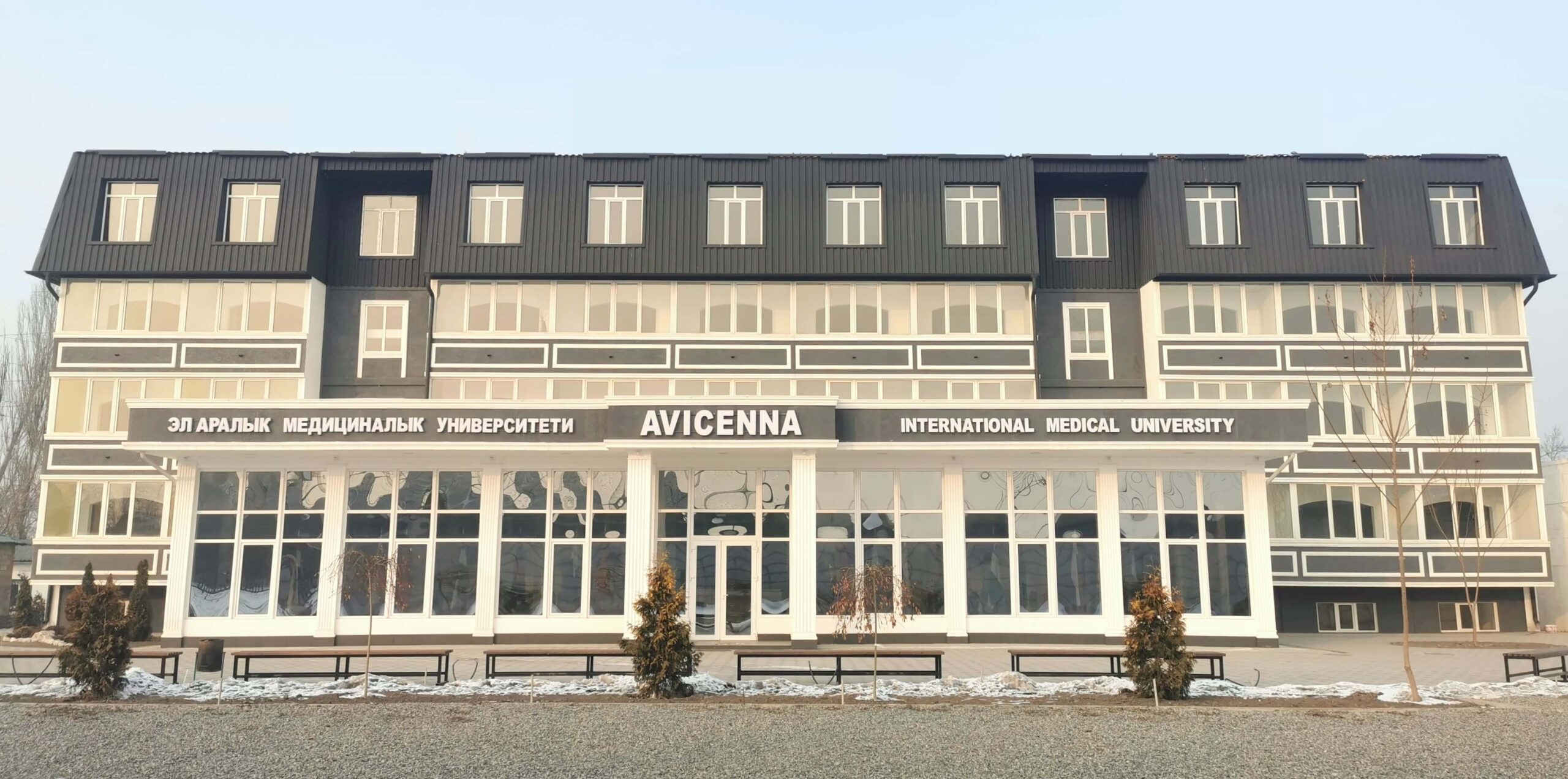 Avicenna International College