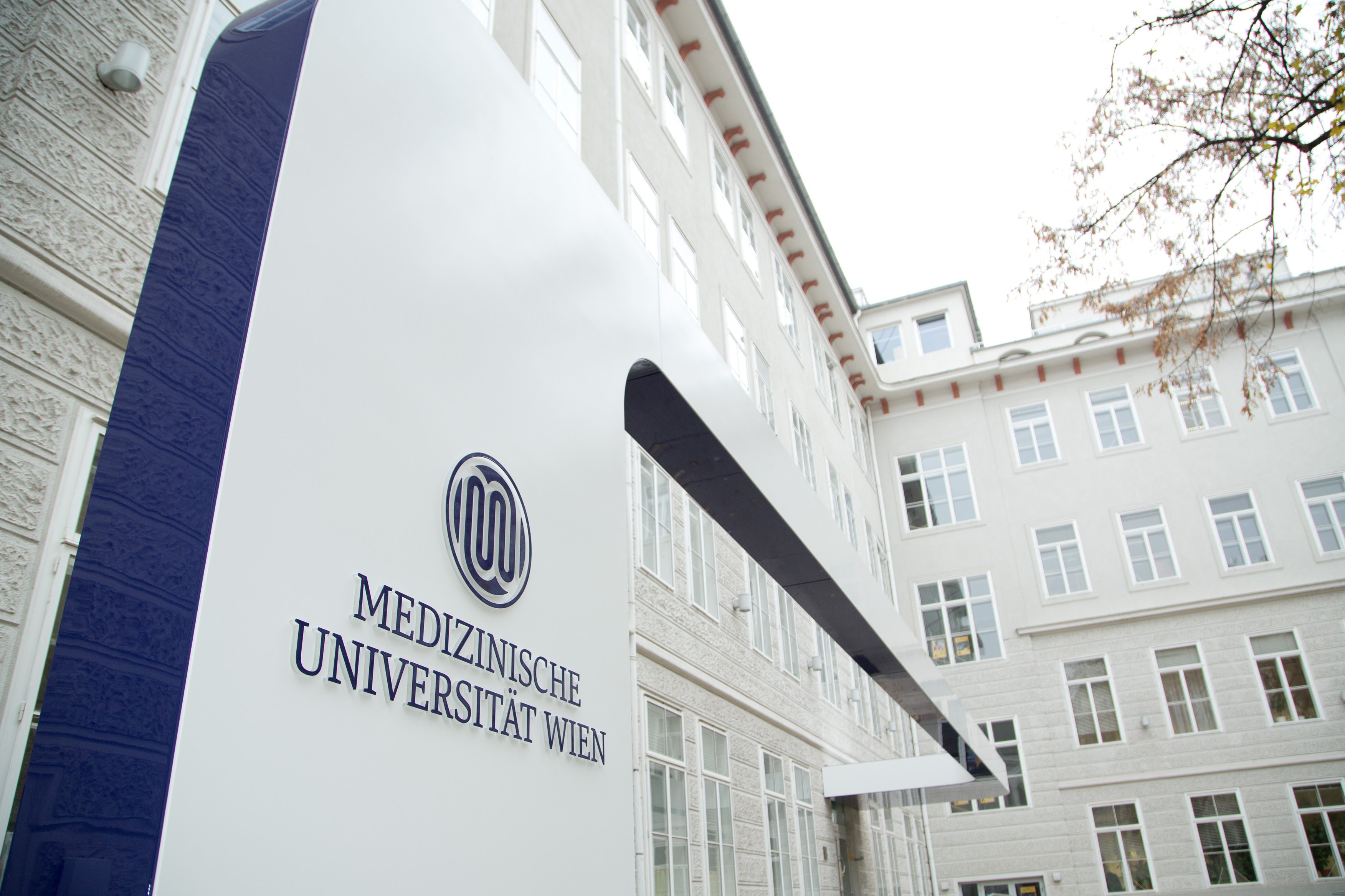 Medical University Of Vienna