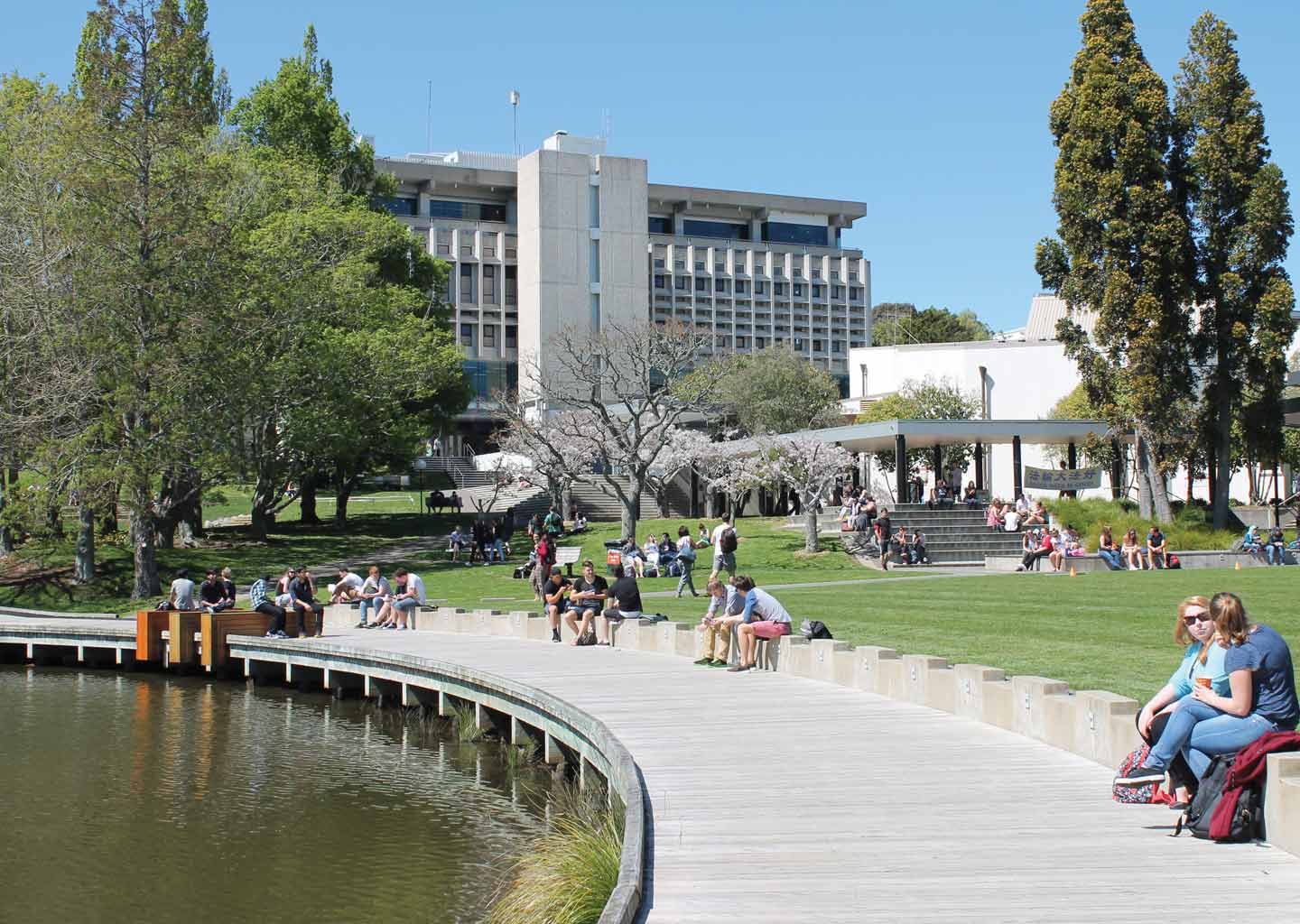 University of Waikato