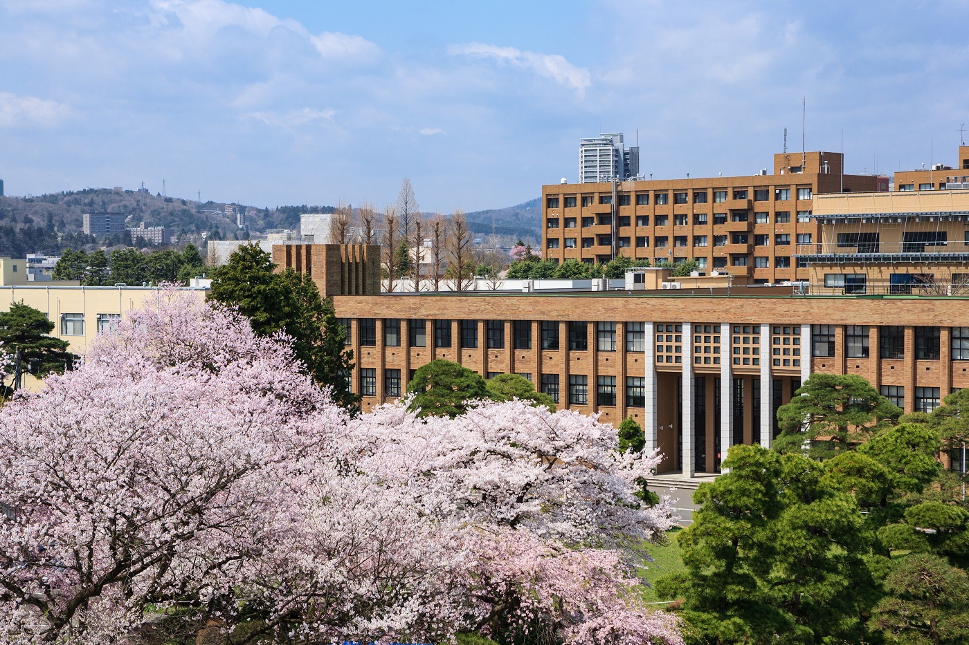 Tohoku University