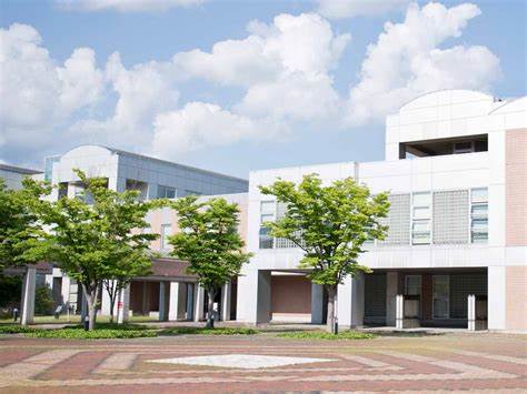 University of Aizu