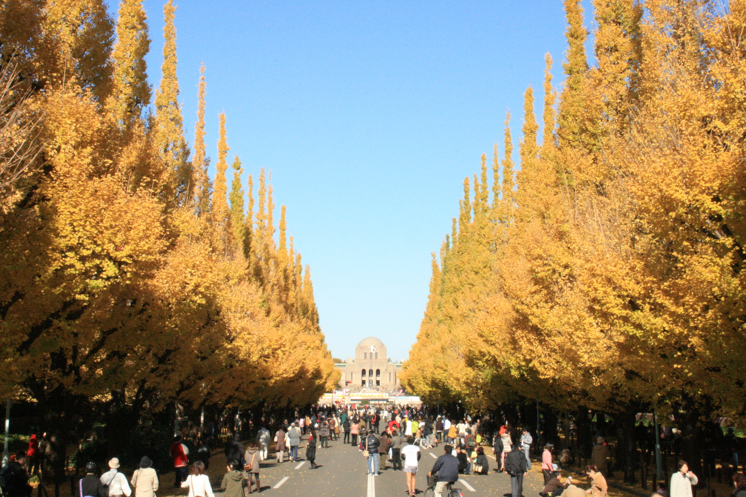 Meiji Jingu Gaien