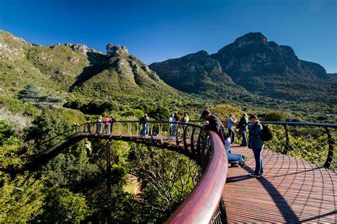 Kirstenbosch Gardens