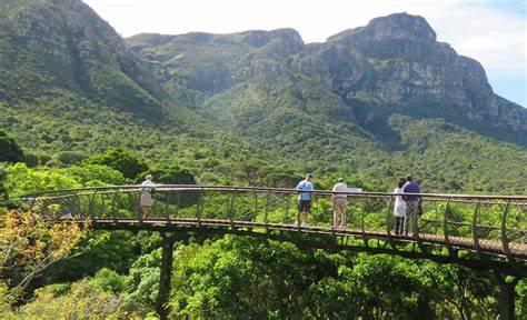 Kirstenbosch Gardens