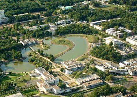 Université dOrléans