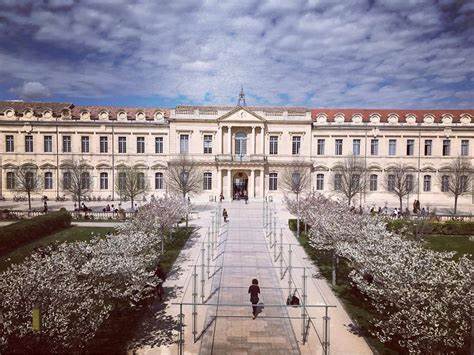 Université d'Avignon