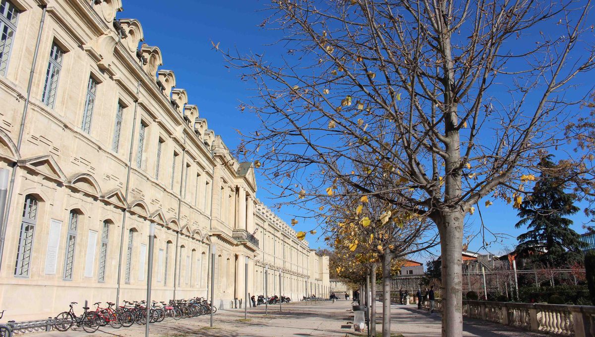 Université d'Avignon