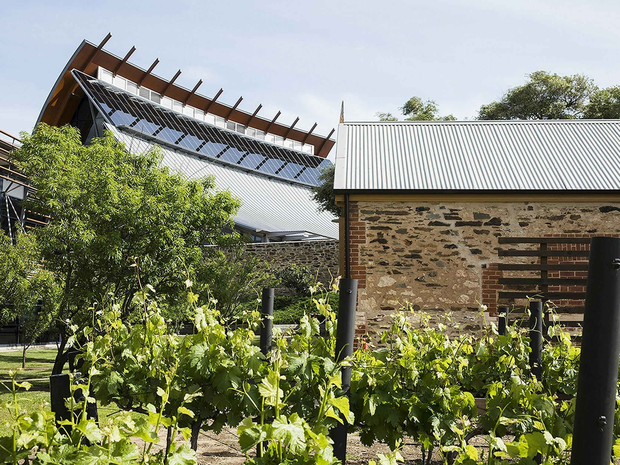 National Wine Centre of Australia