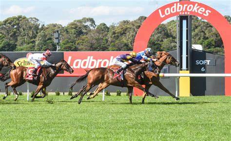 Ladbrokes Park Sandown Racecourse