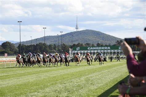 Thoroughbred Park