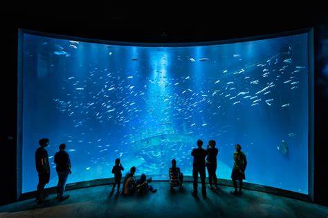 Ozeaneum