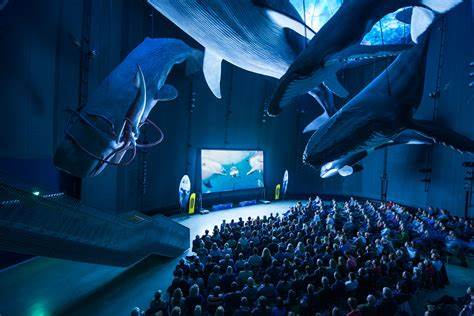 Ozeaneum