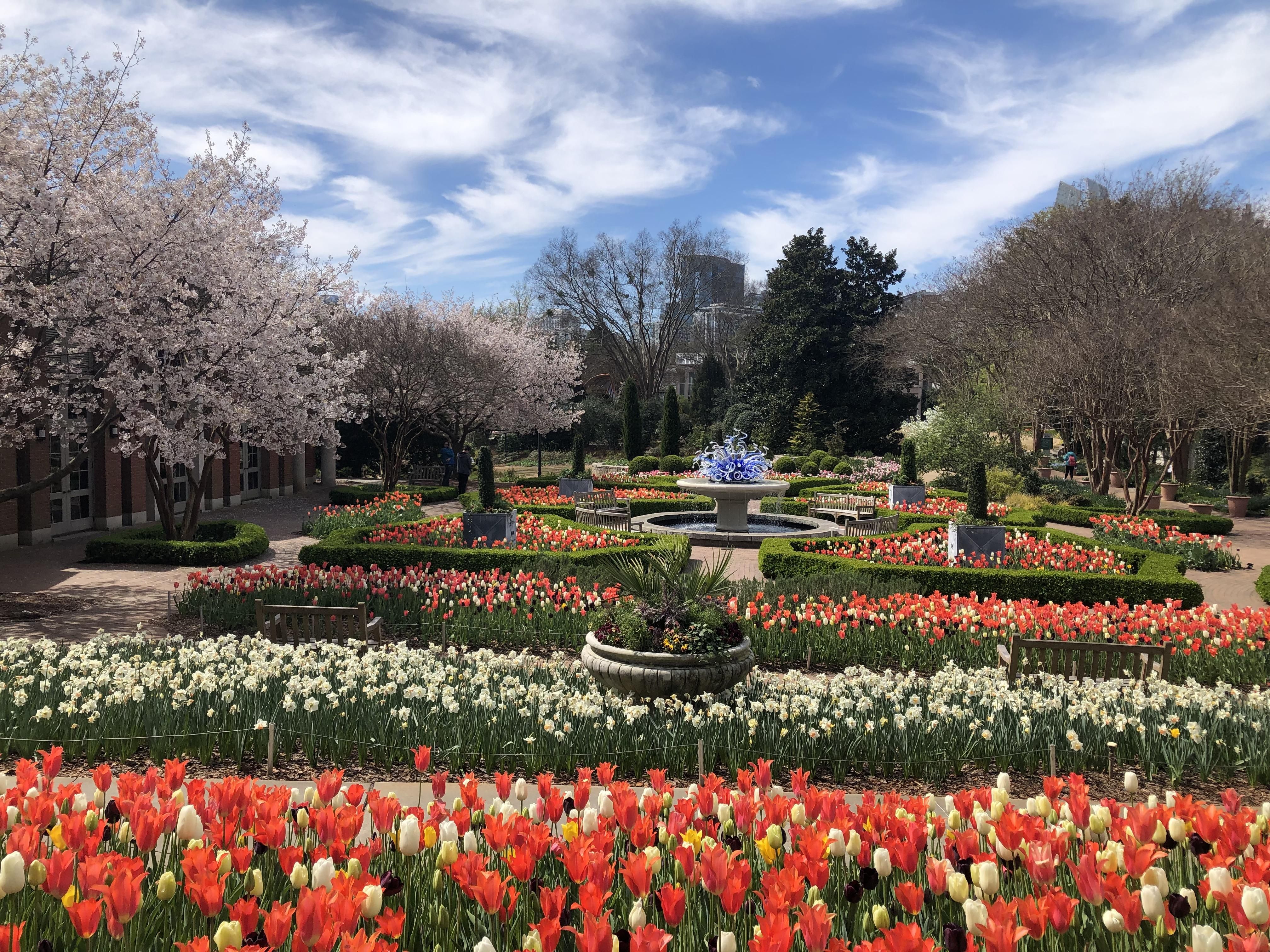 Atlanta Botanical Garden