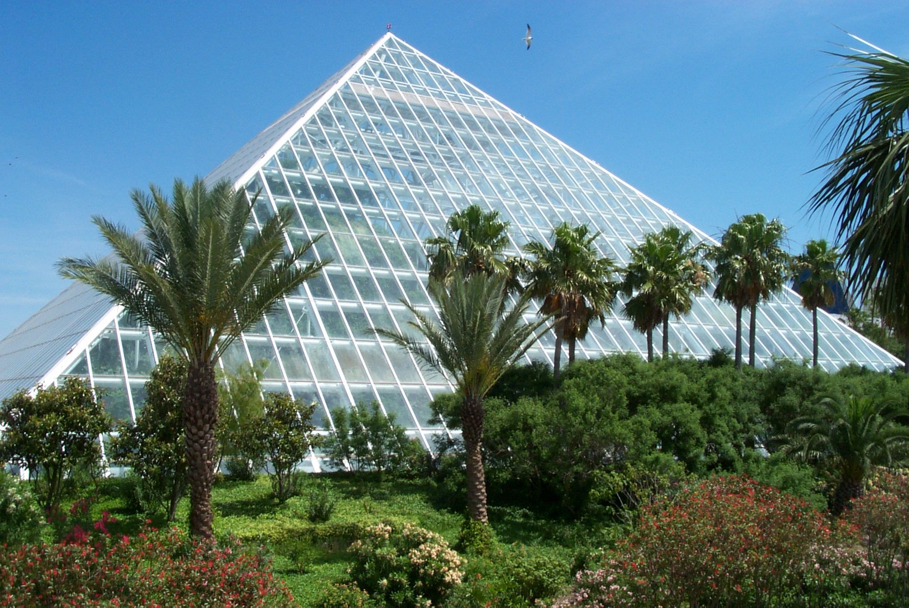 Moody Gardens